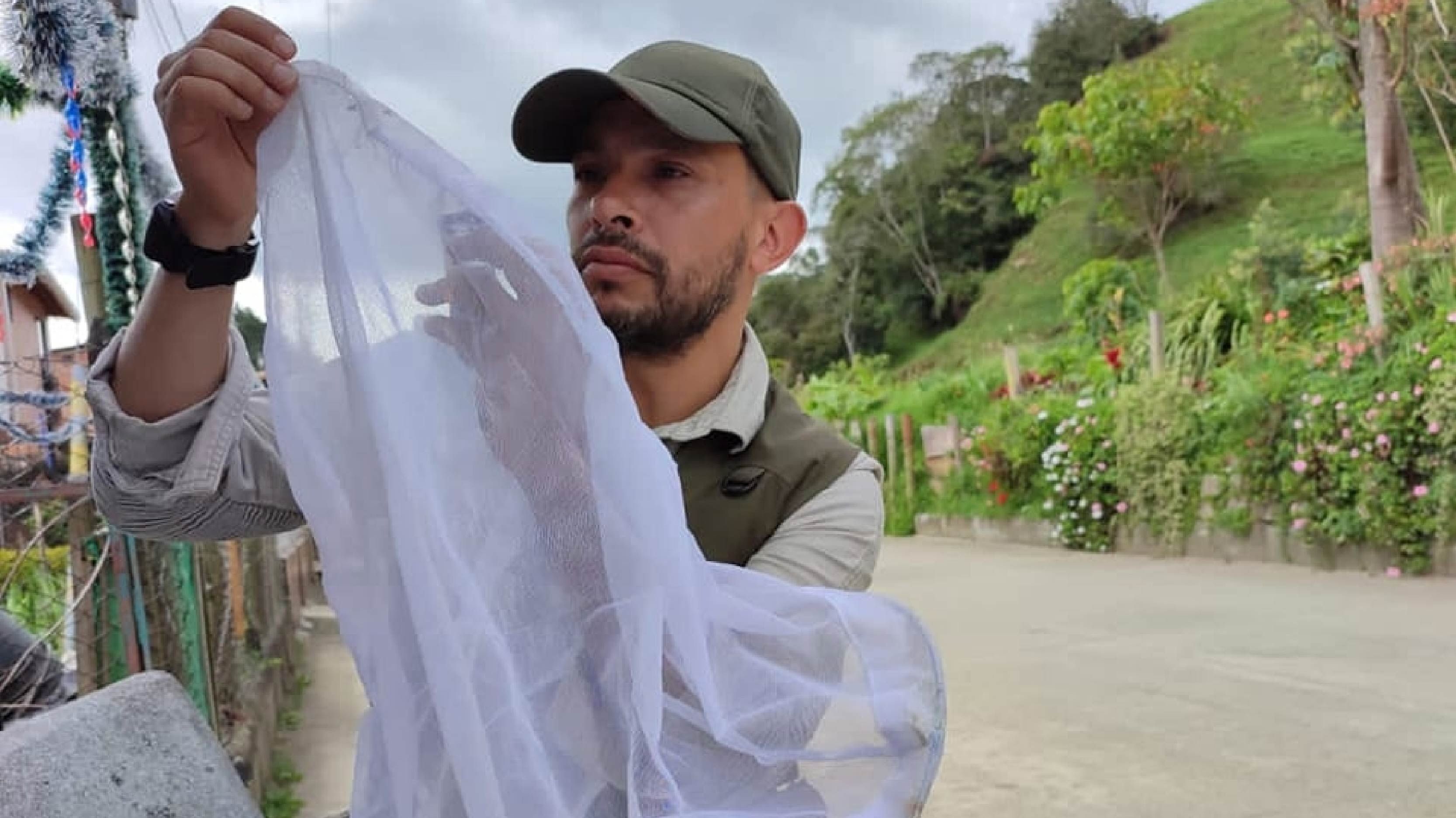 TdeA forma parte de investigación global para comprender la biología de la mosca de la fruta